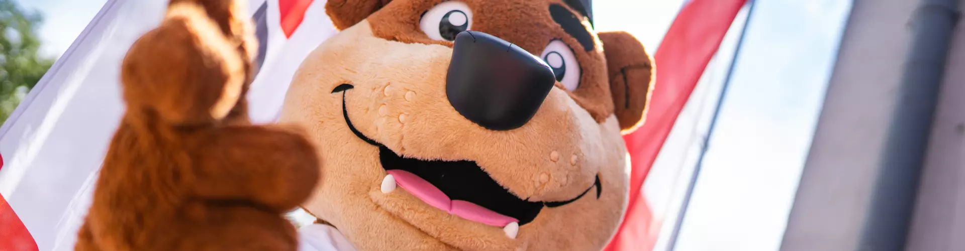 Karrieretag Augsburg: Ganz entspannt zum Traumjob Der Bewerbär, das Maskottchen des Karrieretags, freut sich auf viele Besucher in Augsburg.