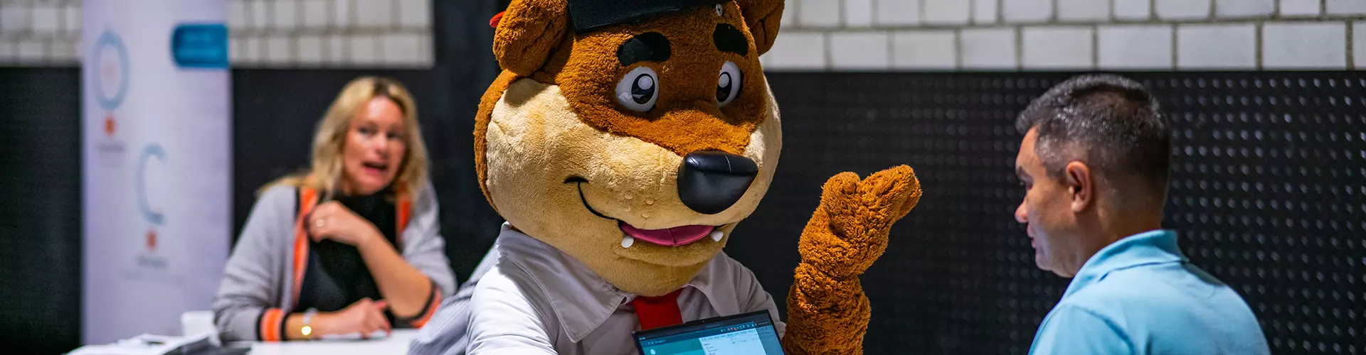 Bewerbär im Coaching
