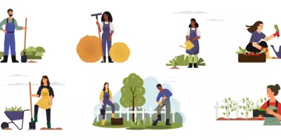 Green Jobs