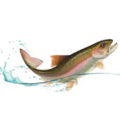 Logo für den Job Fischwirt / Metzger / Quereinsteiger (m/w/d)
